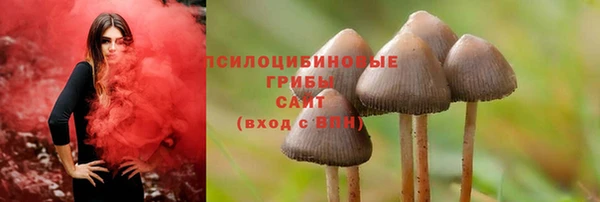прущий лед Алексин