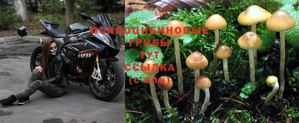 спайс Аркадак