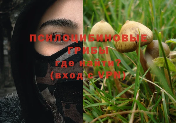 спайс Аркадак